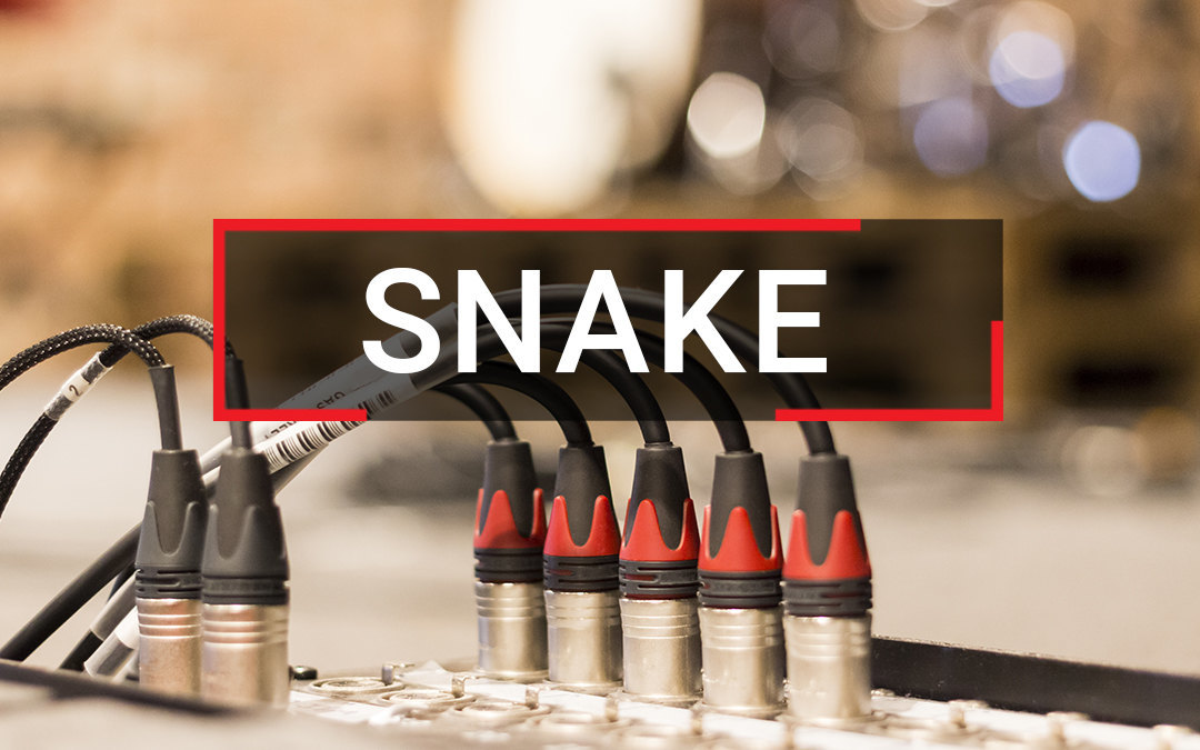 what is a snake tech production